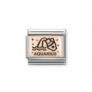 Nomination Rose Gold Aquarius